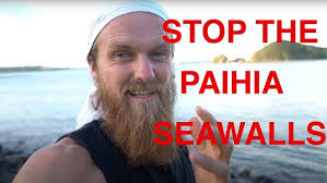 #StopThePaihiaSeawalls