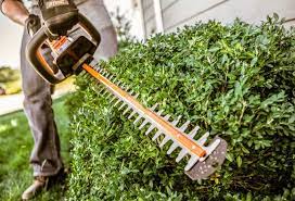 Top 5 Precautions To Take While Using A Hedge Trimmer Gardening Stories Hedge Trimmers Trimming Hedges Trimmers
