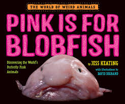 The site owner hides the web page description. Pink Is For Blobfish Discovering The World S Perfectly Pink Animals The World Of Weird Animals Keating Jess 9780553512274 Amazon Com Books