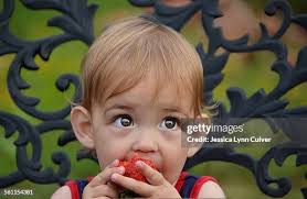 86 Lynn Munch Stock Photos, High-Res Pictures, and Images