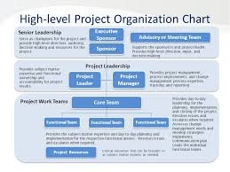 Project Organization Chart Roles Responsibilities Matrix