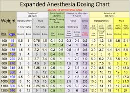 anesthesia basics