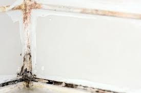 Pink stains show up in different parts of the united states. 12 Things In The Bathroom That Are Making You Sick