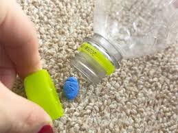 カメムシ ペット ボトル