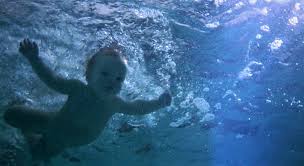 The Blue Lagoon (1980 Film) - Wikipedia