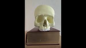 Über 65.000 artikel top marken günstige preise schnelle lieferung. Paper Mache Skull Papier Mache Schadel Part 1 Youtube