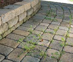 If you don't remove all the sand from the pavers' surface, sand can turn white under the paver sealer. Filling Joints In Pavers Using Sakrete Paver Set Sakrete