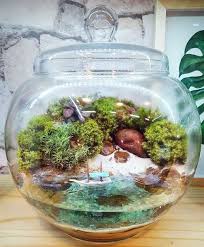 Terra Jardim On Instagram Follow So Super Awesome On Instagram Mini Terrarium Moss Plant Terrarium Scene