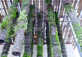 Photos Patrick Blanc Hangs 67 Extraordinary Vertical Garden Tubes In Miami Vertical Garden Hanging Garden Vertical Farming