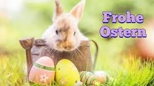 Wir möchten euch bitte, jetzt schon an. Whatsapp Zu Ostern 2021 Liebe Grusse Zum Ostermontag Spruche Videos Gifs Und Mehr Sudwest Presse Online