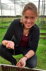 Worms elevate phosphate levels in grass