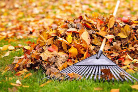 I have used it for tree/bush trimmings, fallen leaves and to process commercial tree mulch. Leave The Leaves Or Not