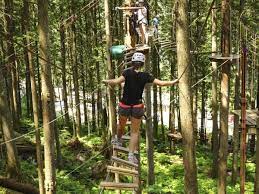 Skytrek Aerial Trekking Courses Include 6 Ziplines And Over 30 Tree Top Games Don 39 T Miss This Exciting Sky Tr Adventure Park Vacation Activities Ziplining