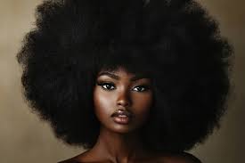 Black Beauty Pageant Celebration in Harrisburg