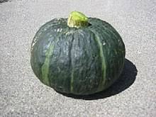 Check spelling or type a new query. Kabocha Wikipedia
