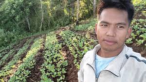 11 days old petchay. #farmingtutorial #farmingtips #ProudFarmer #highlights