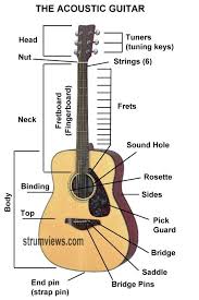 Check spelling or type a new query. Acoustic Guitar Parts Diagram Tailored High Quality Acoustic Guitar Lesson In London Kilburn Kensington Central London With Marco Cirillo Marco Cirillo London Guitar Lesson Electric Acoustic And