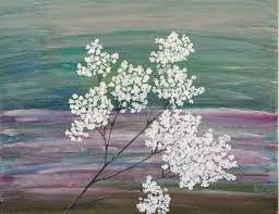 Babies Breath Gypsophila Panicula Lynda Law Ilustration Art Babys Breath Gypsophila