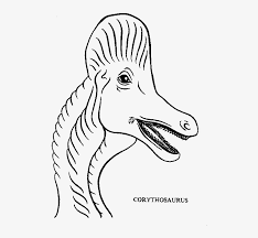 Sleepover coloring pages to print. Drawn Dinosaur Head Dinosaur Faces Coloring Pages Png Image Transparent Png Free Download On Seekpng
