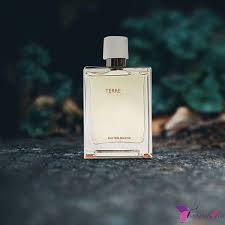 Hermes Terre D Hermes Pour Homme Eau De Parfum Buy Luxury Perfume Online Hermes Terre D Hermes Eau Tres Fraiche 2 5 Oz Edt Men S Spray Tstr Box Online Available At Perfume Luxury Perfume Luxury Fragrance