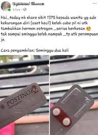 Tubuh yang gemuk memiliki perut yang buncit sehingga menutupi bentuk payudara dan akan terlihat lebih kecil dan kendur. Postinor 2 Untuk Besar Payudara Lekat Lekit Story