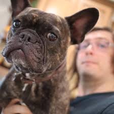 Dylan Tully Photography added a...