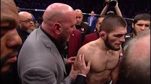 Habib Nurmagomedovning maftunkor muxlisasi (foto)