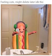 Feeling Cute Might Delete Later Cute Memes Memes Feelings