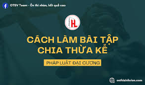 Cách làm bài tập chia tài sản thừa kế môn Pháp luật Đại cương