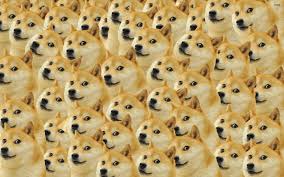 Check spelling or type a new query. 76 Doge Meme Wallpapers On Wallpaperplay