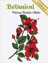The benefits of coloring pages: Botanical Coloring Book For Adults Flowers And Plants Coloring Pages Easy Adult Coloring Book Large Print Colokara 9781729611890 Amazon Com Books
