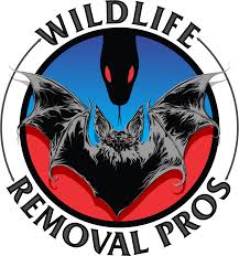 Cities located in the 859 area code the most populous cities in area code 859 are: Lexington Ky Area Code Wildlife Removal Pros Lexington Kentucky 859 795 7955