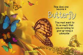 Hope for the flowers theme. 54 My Hope For The Flowers Ideas Butterfly Trina Beautiful Butterflies