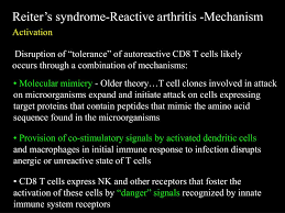 Cairo ms, coiffier b, reiter a, et al. Ppt Class I Associated Autoimmune Diseases Powerpoint Presentation Free Download Id 5615917