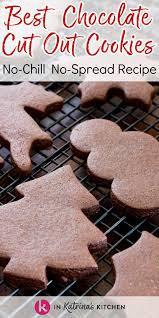 See more ideas about food, dessert recipes, pioneer woman cookies. Best Chocolate Cut Out Cookie
