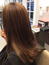 Sarah S Hair Studio Gainesville Fl Light Brown Highlights Using Paul Mitchell Color Hair By Sarah Conoly Hair Highlights Light Brown Highlights Hair