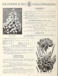 Chimney Bells Flower House Best Flower Wallpaper