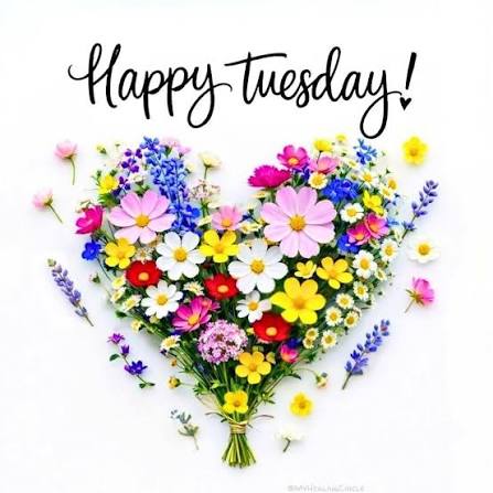 Happy Tuesday! 😊 May your day be filled with little joys, kind moments, and a heart full of gratitude! 💖