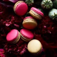 Pierre Herme Jardin Des 8 Tresors Lotus Seed Red Date Wolfberry Rosebud Dried Orange Peel Dried Longan Fruit C Macaron Peau D Orange Sechee Pierre Herme