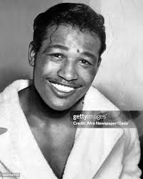 112 Boston Bobo Stock Photos, High-Res Pictures, and Images