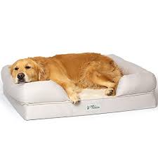 This dog bed comes in a selection of sizes, including a 24 x 40 x 40 option that will fit larger dogs. The 8 Best Indestructible Chew Proof Dog Beds 2021 Reviews