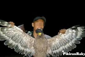 Selain itu, ia pun memiliki usia yang cukup lama bahkan melebihi umur manusia yaitu sekitar 100 tahun ke atas. Viral Memasak Burung Garuda Azam Akhirnya Berurusan Dengan Polisi Pikiran Rakyat Com