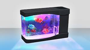 The reception desk aquarium is a 14.5' long, 700 gallon aquarium with it's remote filtration in the basement. Add Life To Your Cubicle With This Usb Aquarium Desk Toy