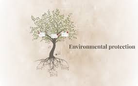 To be honest, i'm really passionate about protecting the environment. Environmental Protection By Karolina Trojan