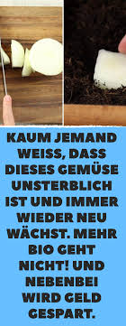 Frisches Essen Aus Kuchenabfallen So Spriesst Das Grun Immer Wieder Geld Sparen Gemuseanbau In Kubeln Ananas Pflanzen