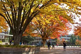 Sacramento State Sacramento State Usa University Valle Vista