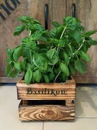 Krautertopf Basilikum Schnittlauch Pfefferminze Rosmarin Petersilie Blumentopf Kuchenkrauter Gewurze Pflanzschale Pflanztopf Holzkiste Pflanzschale Holzkisten Pflanzen