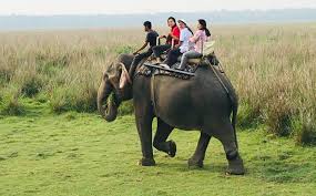 ARRIVAL AT GUWAHATI - TRANSFER TO BHALUKPONG :