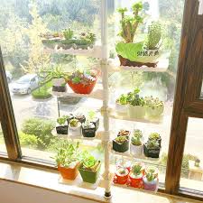 Check spelling or type a new query. New Windowsill Succulent Flower Stand Indoor Household Bay Window Multi Layer Space Saving Balcon Window Shelf For Plants Indoor Window Window Sill Plant Shelf