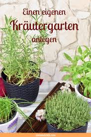 Einen Eigenen Krautergarten Anlegen Zimt Chili In 2020 Krautergarten Anlegen Krautergarten Drinnen Pflanzen